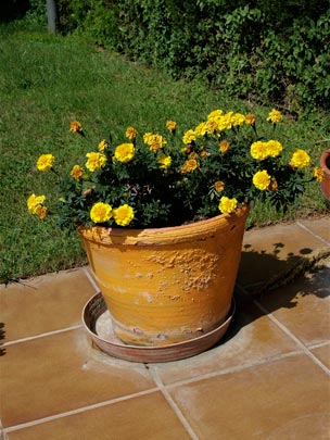  ANDREU BUENAFUENTE _ amarillo 