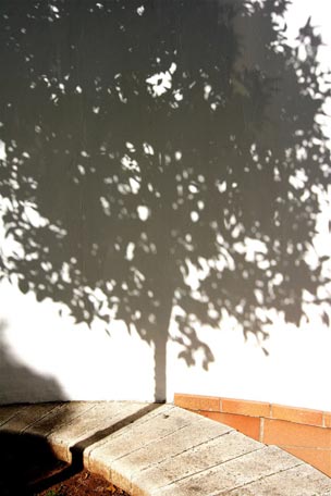  ANDREU BUENAFUENTE _ árbol 