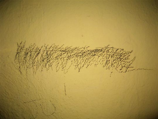  ANDREU BUENAFUENTE _ arrepentimiento 