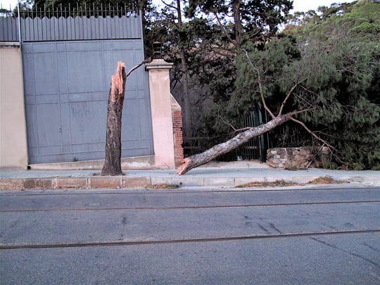  ANDREU BUENAFUENTE _ asesinato 