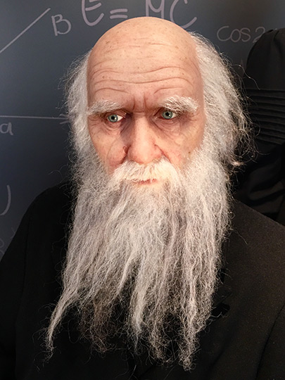  ANDREU BUENAFUENTE _ ¿darwin? 