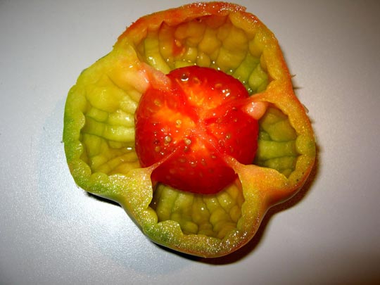  ANDREU BUENAFUENTE _ el grito del tomate 