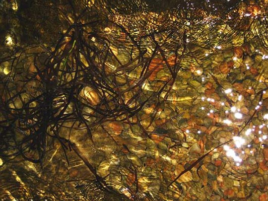  ANDREU BUENAFUENTE _ en el fondo 