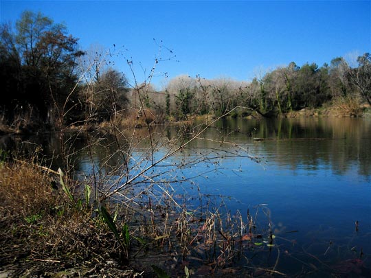  ANDREU BUENAFUENTE _ en el río aquel 