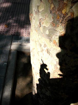  ANDREU BUENAFUENTE _ fumando espero 