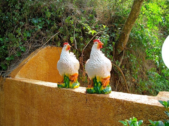  ANDREU BUENAFUENTE _ gemelas 