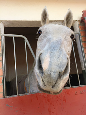  ANDREU BUENAFUENTE _ hola 