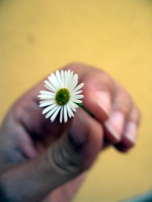  ANDREU BUENAFUENTE _ incógnita 