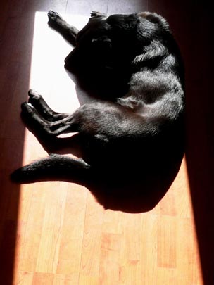  ANDREU BUENAFUENTE _ janis 