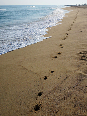  ANDREU BUENAFUENTE _ la huída 