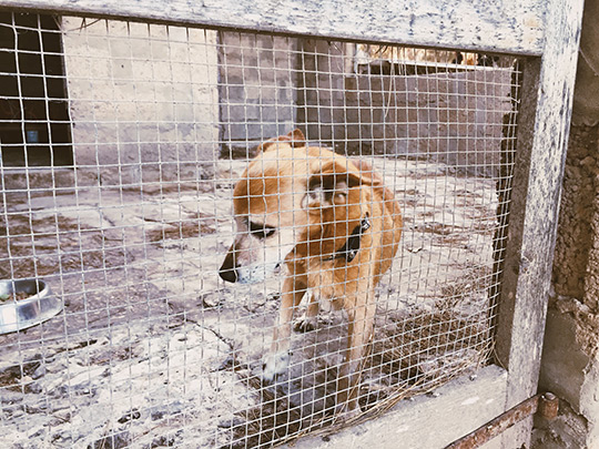  ANDREU BUENAFUENTE _ la tristeza 