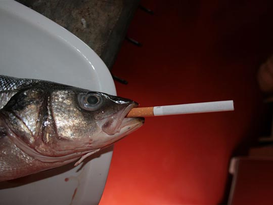  ANDREU BUENAFUENTE _ lubina light 