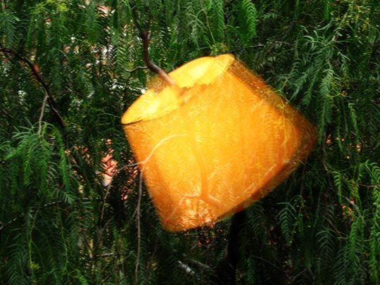  ANDREU BUENAFUENTE _ luz exterior 