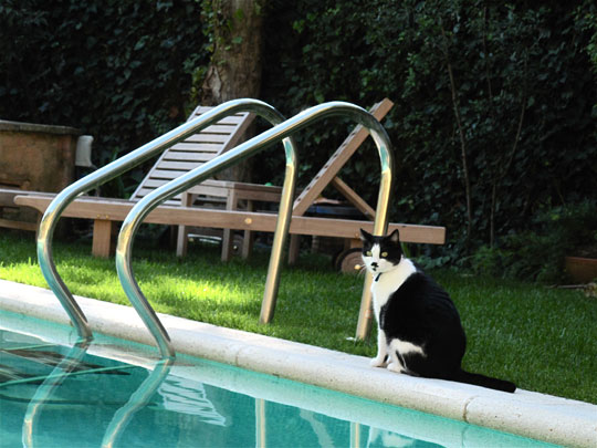  ANDREU BUENAFUENTE _ ¿me baño o qué? 