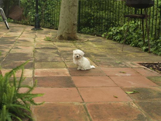  ANDREU BUENAFUENTE _ nano 