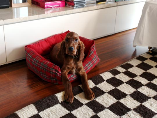  ANDREU BUENAFUENTE _ no cabe 