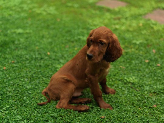  ANDREU BUENAFUENTE _ no la cambio por nada 