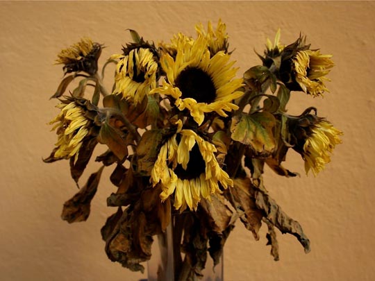  ANDREU BUENAFUENTE _ nublado 