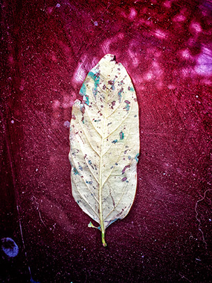  ANDREU BUENAFUENTE _ otoño 2016 