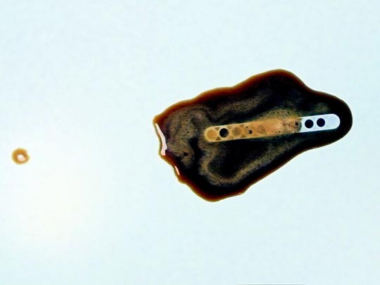  ANDREU BUENAFUENTE _ ¡perdón! 