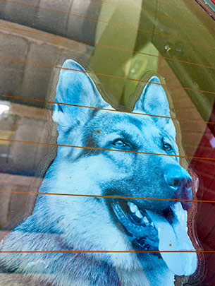  ANDREU BUENAFUENTE _ perro barcelona 