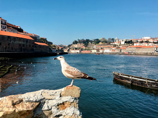  ANDREU BUENAFUENTE _ porto portugal 
