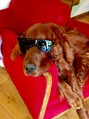  ANDREU BUENAFUENTE _ rocker mel 