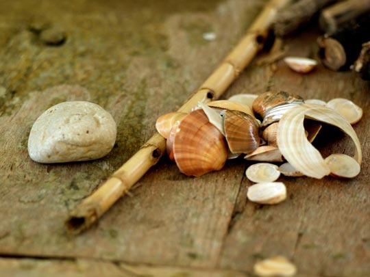  ANDREU BUENAFUENTE _ tesoros 