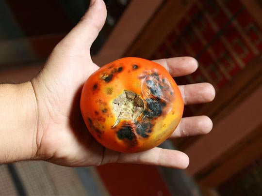  ANDREU BUENAFUENTE _ tiempo 