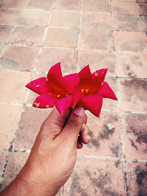  ANDREU BUENAFUENTE _ un presente 