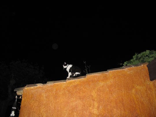  ANDREU BUENAFUENTE _ vigilancia 