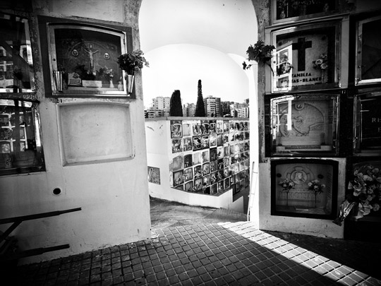  ALBERT JODAR _ andaluz 