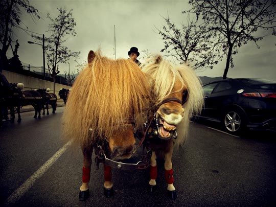 ALBERT JODAR _ bicéfalo poseído 
