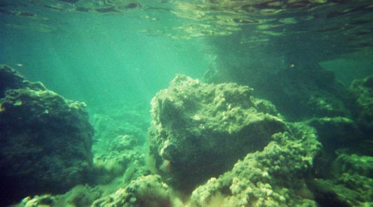  ALBERT JODAR _ delirios de placton 