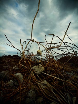  ALBERT JODAR _ el corazón envuelto por las raíces del kaos, barcelona, 2011 