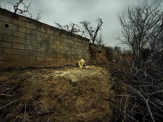  ALBERT JODAR _ el despacho del verdugo, soria, 2011 