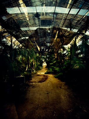  ALBERT JODAR _ el invernadero del olvido, el prat, 2009 