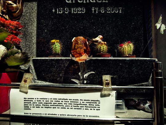  ALBERT JODAR _ el jardín del taxidermista 