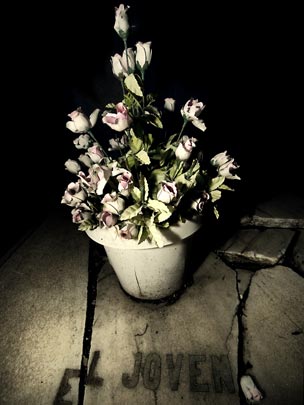  ALBERT JODAR _ flores muertas (1) 