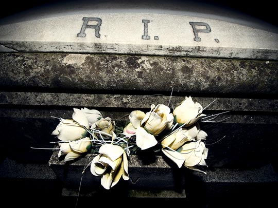  ALBERT JODAR _ flores muertas (2) 