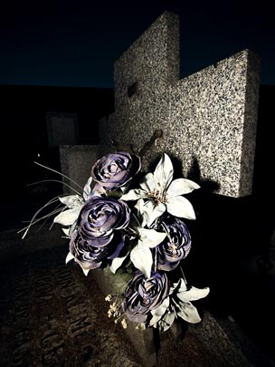  ALBERT JODAR _ flores muertas (4) 