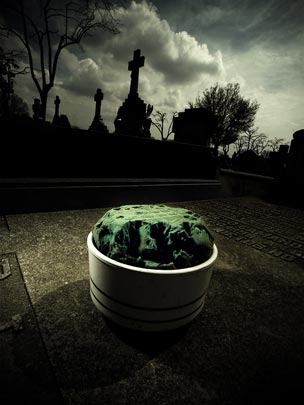  ALBERT JODAR _ flores muertas (5) 