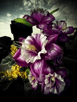  ALBERT JODAR _ flores muertas (6) 