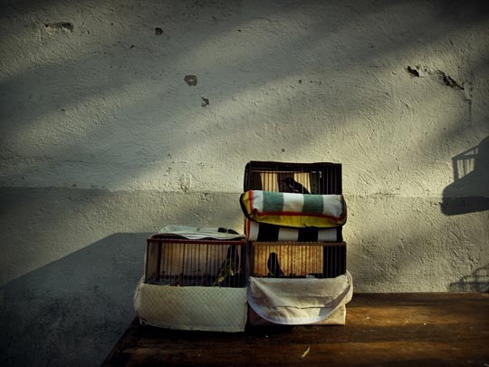  ALBERT JODAR _ itunes analogico (2) 