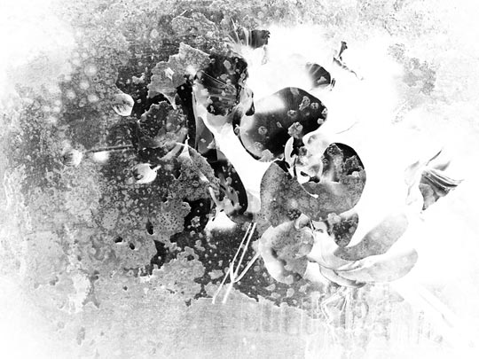  ALBERT JODAR _ la orgánica luminosa 