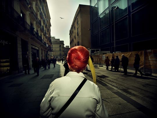  ALBERT JODAR _ la palmera mayor 