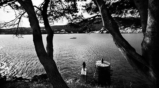  ALBERT JODAR _ la opera de las sirenas. girona, 2014 