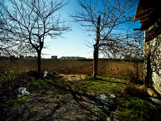  ALBERT JODAR _ los cultivos que esperan florecer la alegria, barcelona, 2011 