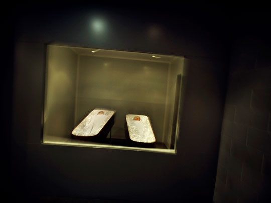  ALBERT JODAR _ no estamos a salvo 