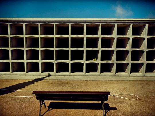  ALBERT JODAR _ se alquila 